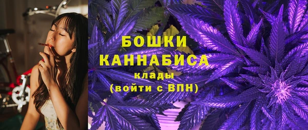 PSILOCYBIN Магадан