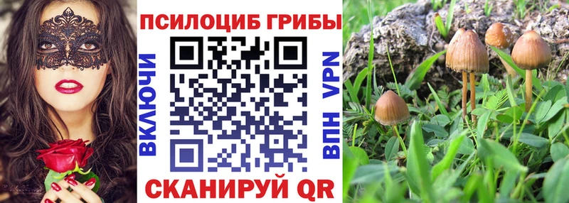 Псилоцибиновые грибы Cubensis  Курск 
