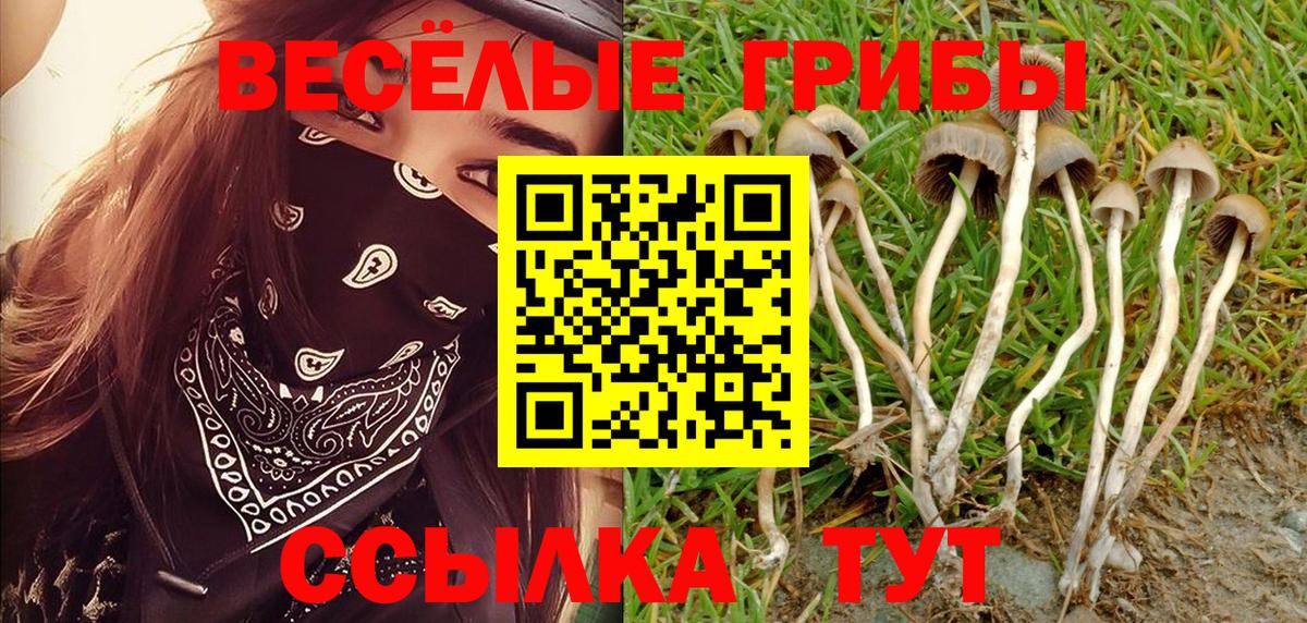 Курск  продажа наркотиков  Вход с VPN  Псилоцибиновые грибы Magic Shrooms 